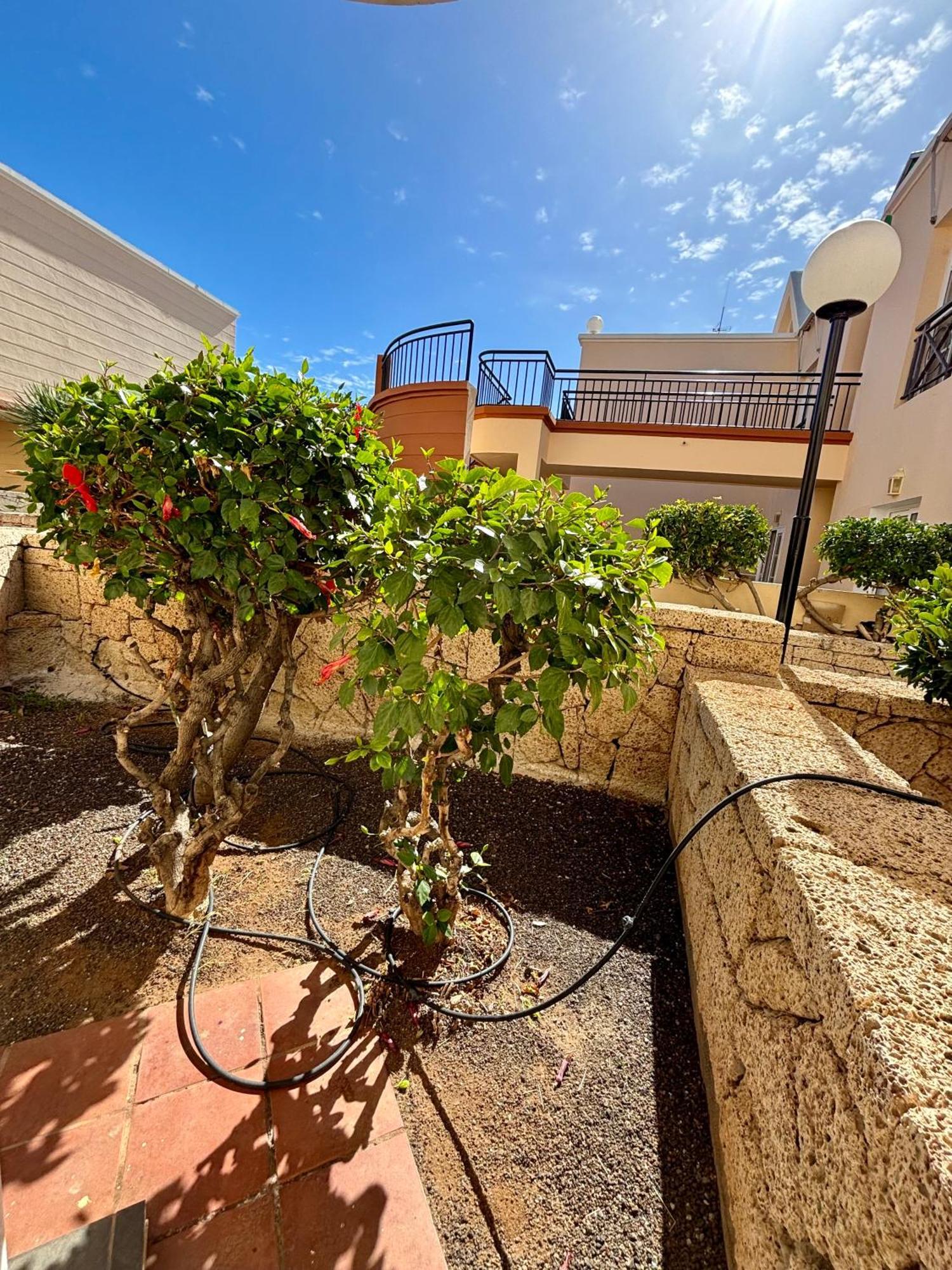 Apartment Clara Fanabe Costa Adeje  Exterior foto